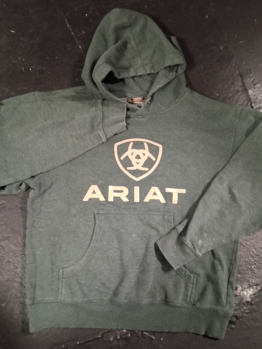 Ariat Sage Green Hooded Sweatshirt